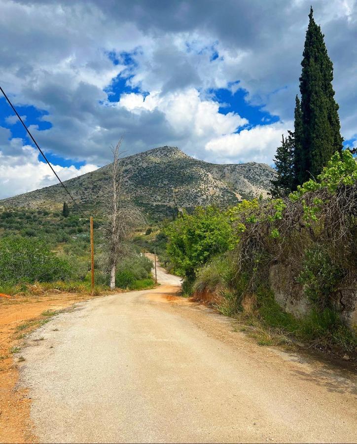 Sunny House At Ancient Mycenae, Close To Nafplio! Mykines Eksteriør bilde